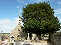 Le cimetière entourant la chapelle Saint-Gilles (ancienne église tréviale) et son if.