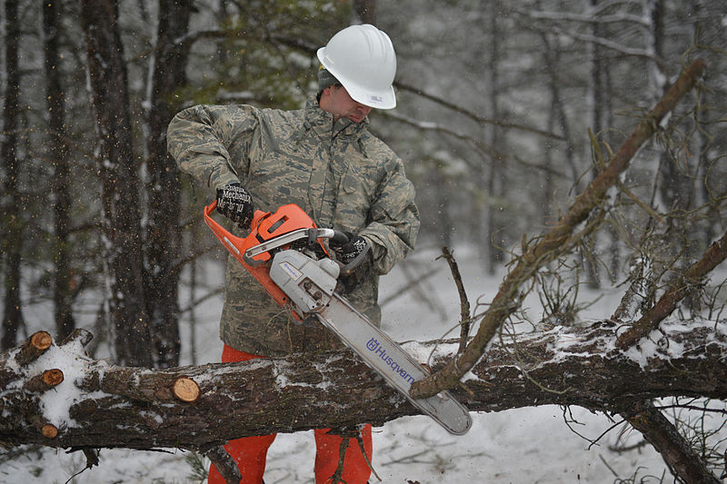 File:106th Civil Engineering Squadron conducts wildfire and storm debris removal training 150305-F-SV144-133.jpg