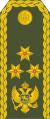 General Potpukovnik (Montenegrin Ground Army)[1]
