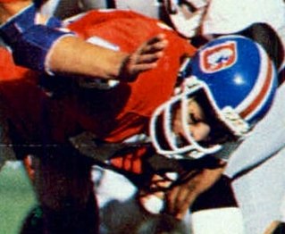 <span class="mw-page-title-main">Steve Foley (defensive back)</span> American football player (born 1953)