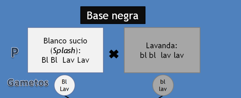 File:1r Exercici Esquema incomplet.png