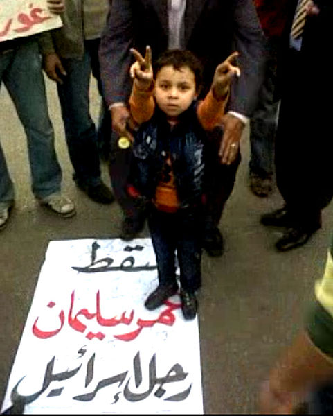 File:2011 Egypt protests - child on Down with Omar Suleiman sign.jpg