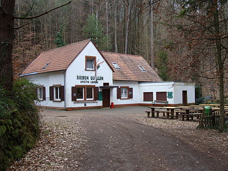 2012 Pfälzerwald 043 Amicitia Hütte