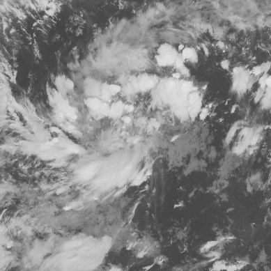 File:20171116 1200Z HIMAWARI8 ir 31W.tif