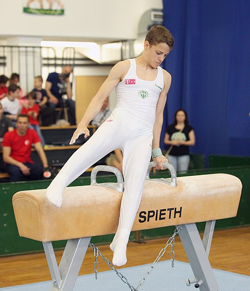 File:2019-05-25 Budapest Cup age group III all-around competition pommel horse (Martin Rulsch) 062.jpg