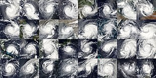 Taken by various of satellites throughout 2019, these are the 32 tropical cyclones that reached at least Category 3 on the Saffir-Simpson scale during that year, from Funani in February to Ambali in December (though Belna is the last image). 2019 Major Cyclones.jpg