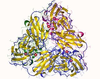 <span class="mw-page-title-main">Nitrite reductase (NO-forming)</span> Class of enzymes