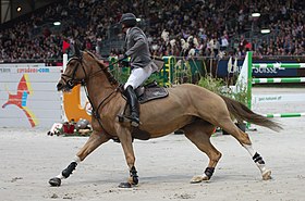 Şov atlama yarışmasında Henrik von Eckermann ve Hanoverian Gotha FRH.