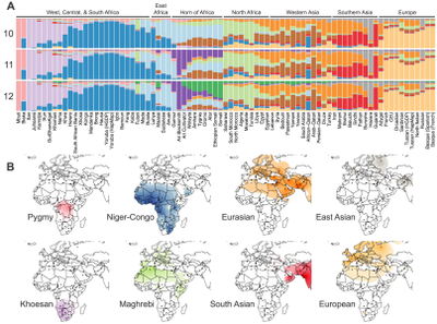 Genetic history of Africa