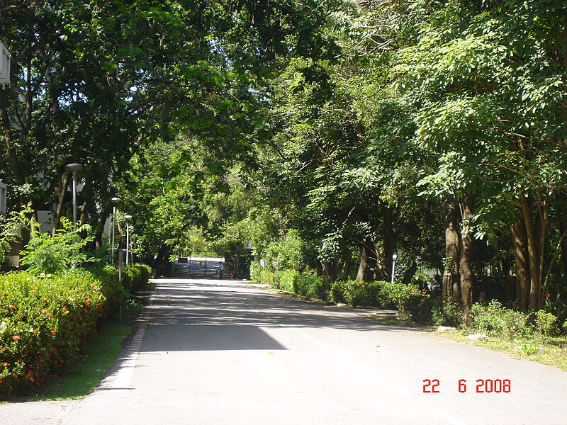 File:AIT - panoramio - Seksan Phonsuwan (18).jpg