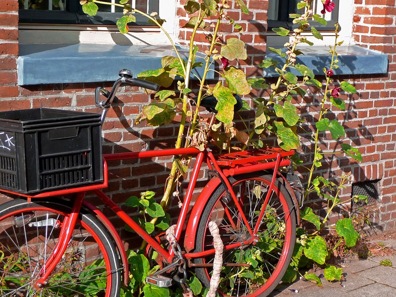 File:A red bicycle is parked in front of a brick house facade under the windows, and flowering hollyhocks; free photo of Amsterdam city by Fons Heijnsbroek, Summer 2009.tif
