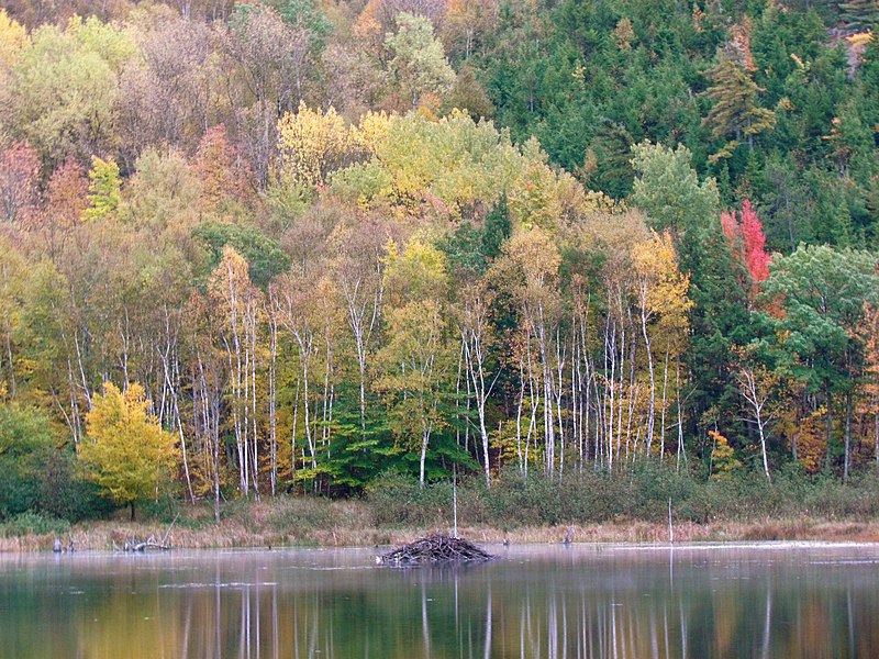 File:Acadia National Park (8111131761).jpg