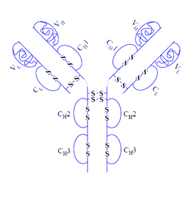 Image result for humira structure