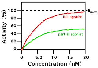 <span class="mw-page-title-main">Partial agonist</span> Agonist drug having partial efficacy at a receptor