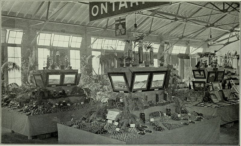 File:Annual report of the Fruit Growers' Association of Ontario, 1908 (1909) (19176736078).jpg