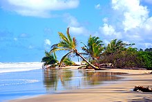 [1] der bespülte Saum eines Strandes im brasilianischen Bundesstaat Bahia;
Aufnahme von Benutzer Ivan Pellacani am 1. November 2015