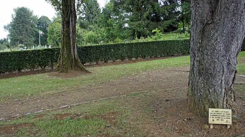 File:Arbre de la jeunesse et Aux RCA 514.JPG