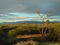 Port Augusta West, South Australia