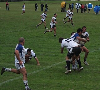 <span class="mw-page-title-main">2010 New Zealand rugby league season</span>