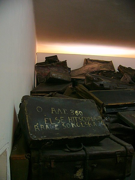 File:Auscchwitz suitcases.jpg