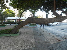 Av. Atlântica