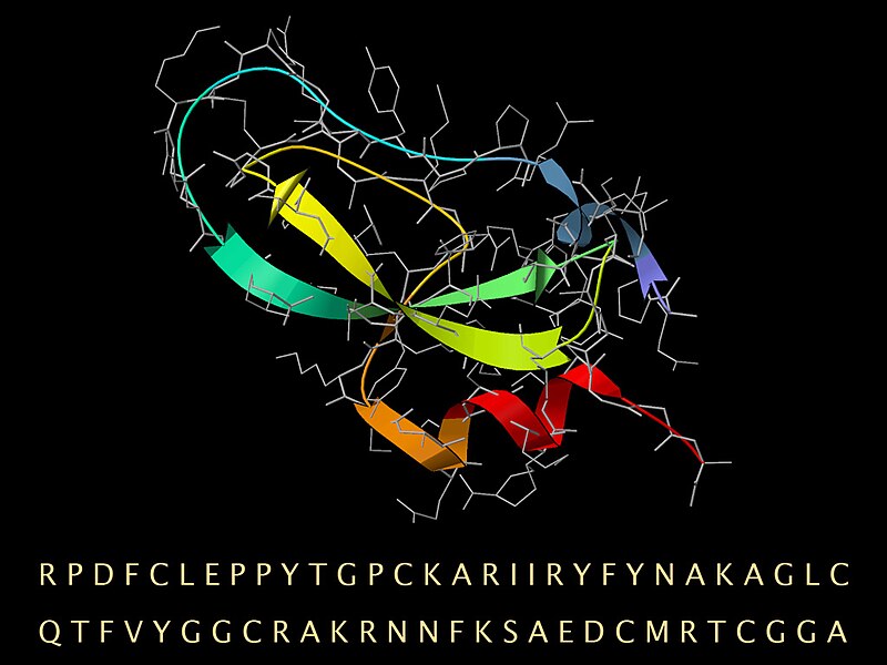 File:BPTI seq ribbon sticks.jpg