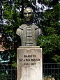 Baróti Szabó Dávid