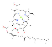 Bacterio Clorofila a.svg