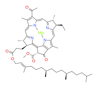 <span class="mw-page-title-main">Bacteriochlorophyll</span> Chemical compound
