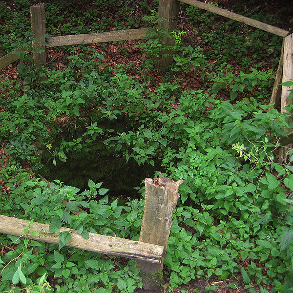 File:Bad Driburg Iburg Brunnen.jpg