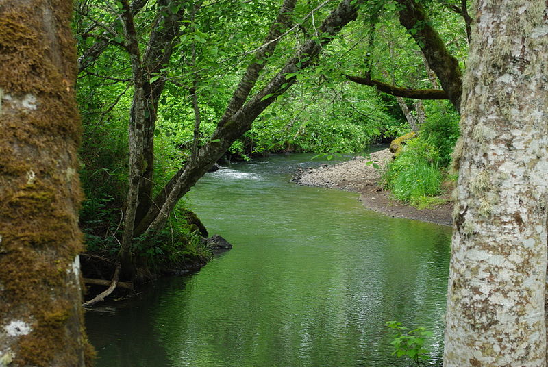 File:Baker Creek at Ed Grenfell County Park - Oregon.JPG