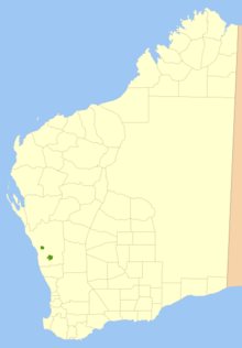 Distribution of Banksia scabrella. Lower region is that near Mount Adams. Banksiascabrellamap.png