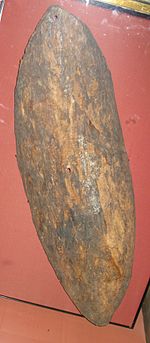 The shield at the British Museum once thought to be the "Gweagal" shield Bark shield 2008 british museum.jpg