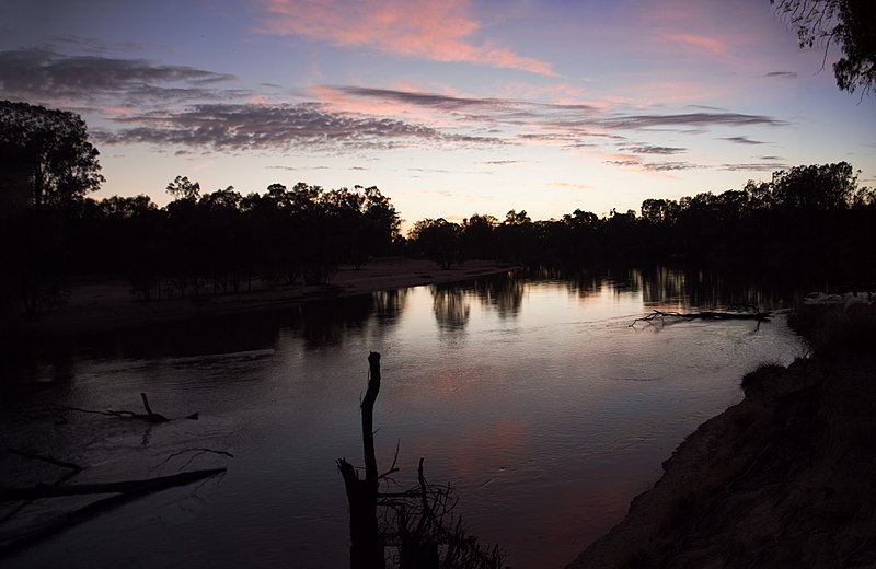 File:Barmah National Park, Ulupna Island, Murray River 01.jpg