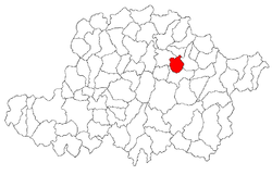 Locatie in Arad County