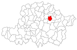 Location in Arad County