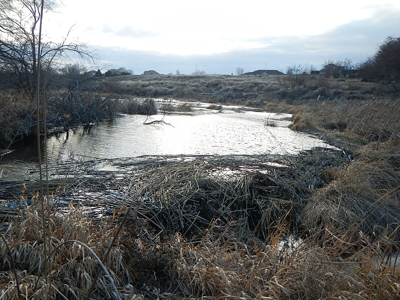 File:Beaver Dam West Fork of Amon Creek.JPG