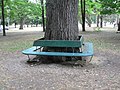 Bench and trees (1245397989).jpg