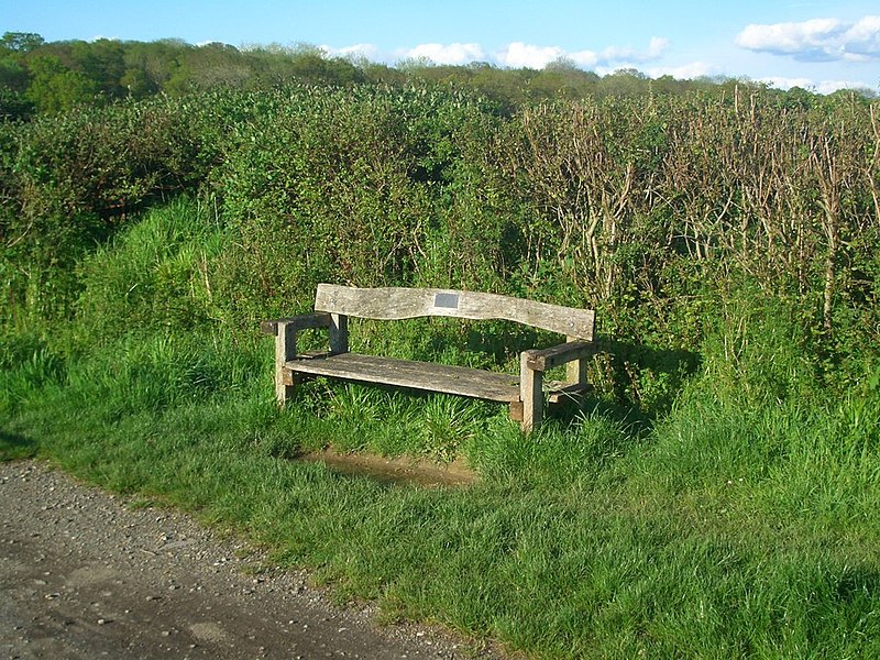 File:Bench on Downs Link - geograph.org.uk - 2943320.jpg