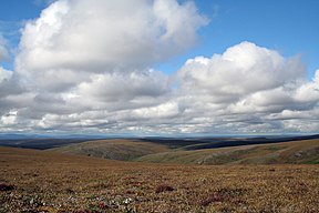 Tundra bei Cottonwood Creek