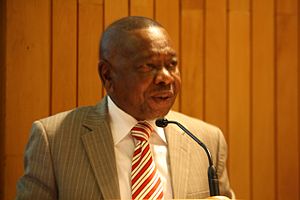 Blade Nzimande: Leben, Regierungstätigkeit, Veröffentlichungen