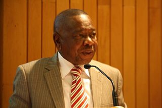 <span class="mw-page-title-main">Blade Nzimande</span> South African politician