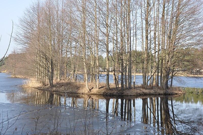 File:Božu ūdenskrātuve, Babītes pagasts, Babītes novads, Latvia - panoramio (4).jpg