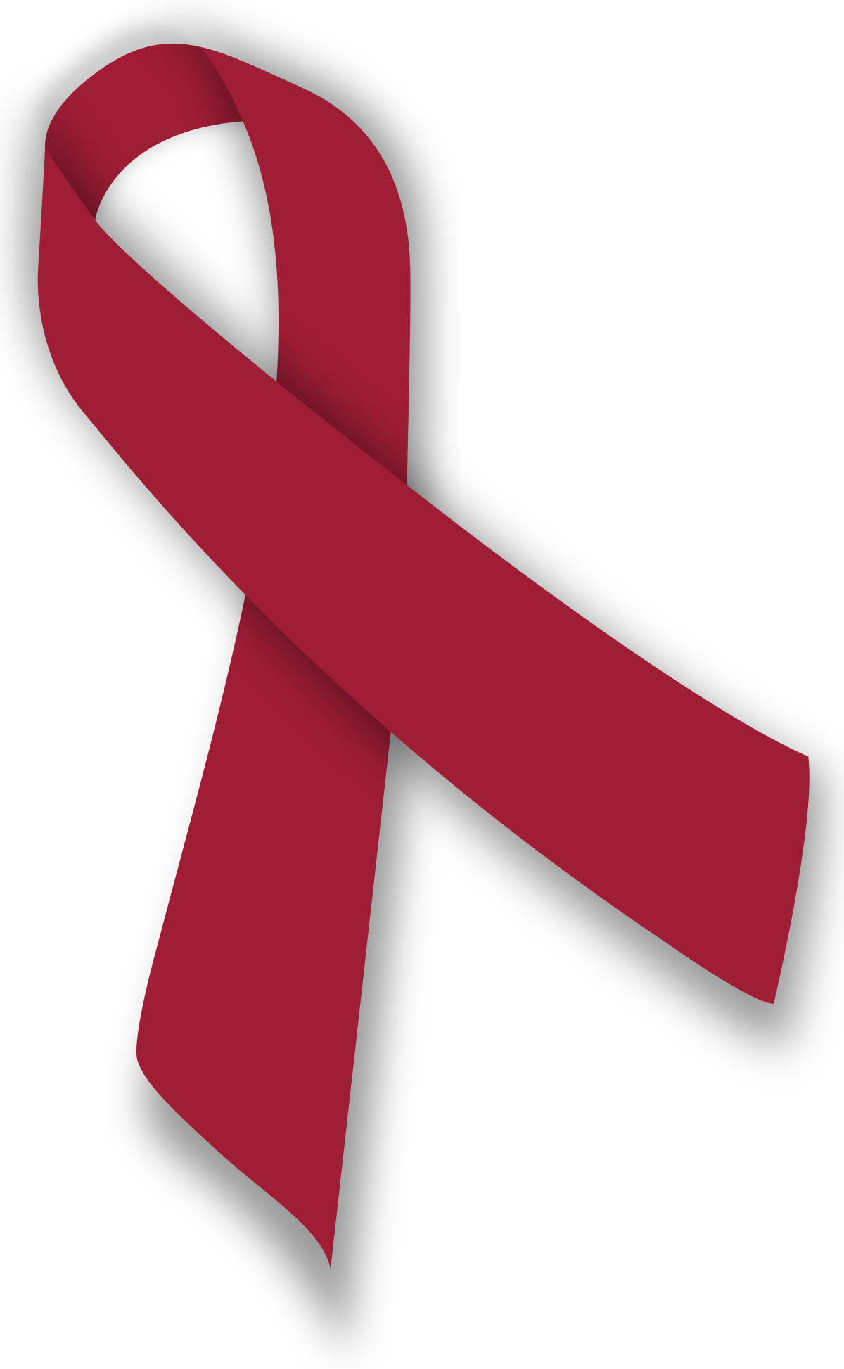 Feather Burgundy Ribbon SVG, Multiple myeloma Svg, Awareness