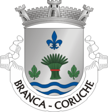 Ficheiro:CCH-branca.png