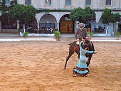 Category:Equestrian shows in Caballerizas Reales - Wikimedia Commons