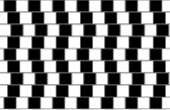 Optisk Illusion