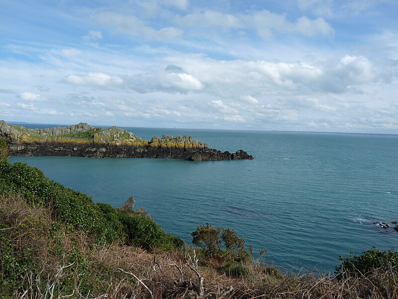 File:Cancale (35) Île des Landes - 07.jpg