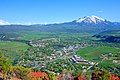 File:Carbondale Aerial.jpg