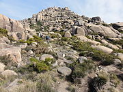 Monte Pindo: Historia, Xeoloxía, Flora e fauna